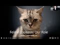 Feline zoonotic disease the veterinarians role