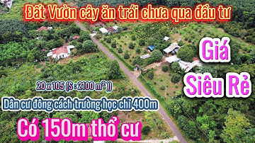 Bể nợ ✨️ Bán gấp đất vườn cây ăn trái đủ loại có 150m thổ cư kèm 20m mặt tiền lộ nhựa thông.