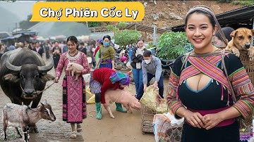 COC LY MARKET, Bergmarkt met veel vreemde producten, talloze buffels, koeien, berggeiten en varkens.