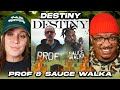 THIS IS A BANGER!! | PROF &amp; SAUCE WALKA - "DESTINY"