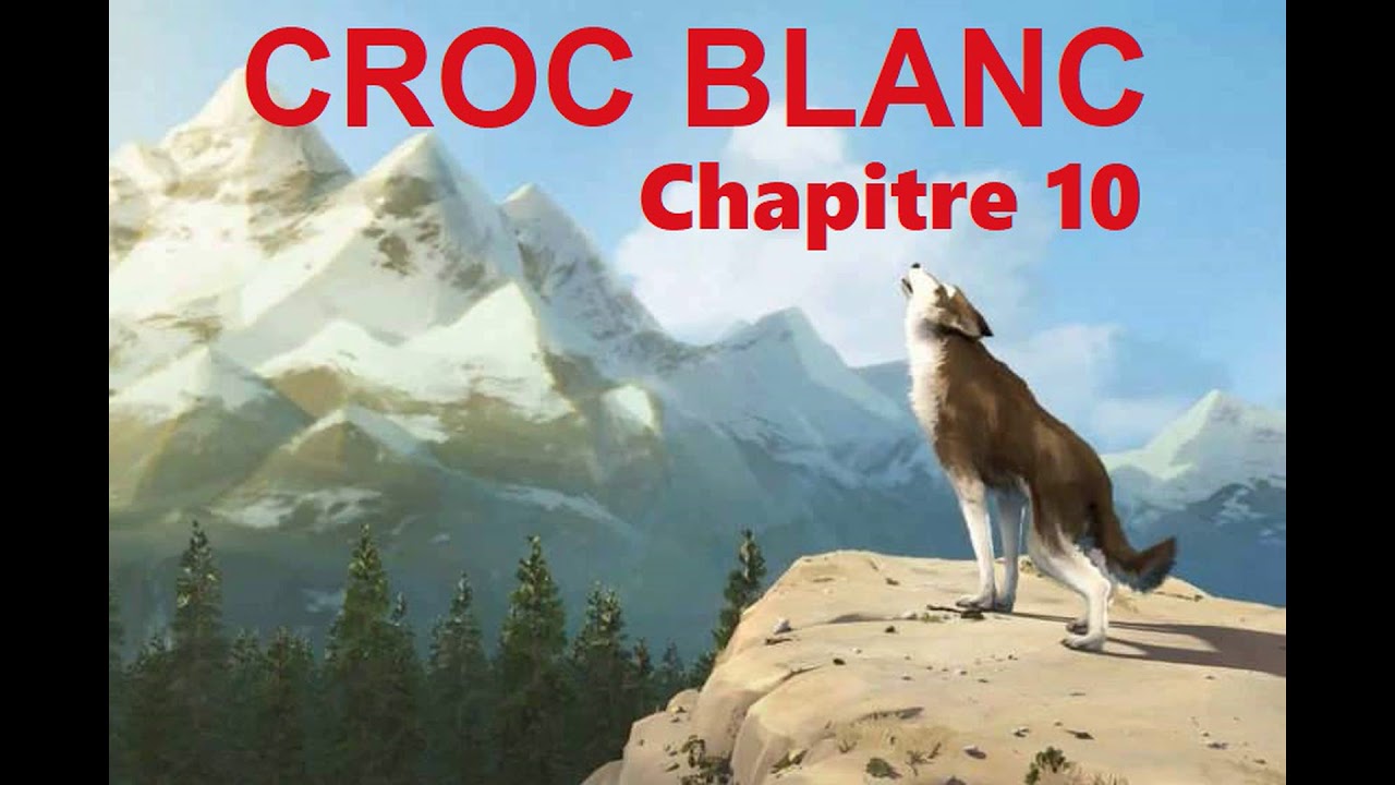 Croc Blanc - Livre Audio 🔈 - chapitre 10 : La servitude - YouTube