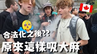 【開箱】真的會上癮？合法化之後？你不知道的大麻真相…加拿大🇨🇦420大麻日🪴