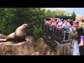 Tag - Steller Sealions at the Vancouver Aquarium