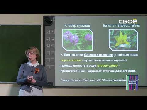 Биология 6 класс. Основы систематики растений