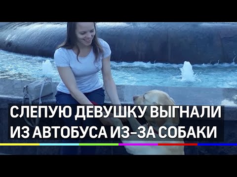 Слепую девушку не взяли на работу из-за собаки-поводыря