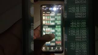 tp hit... finally flipped 1000$-10000$ In just 6day