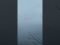 weather #weather #weather