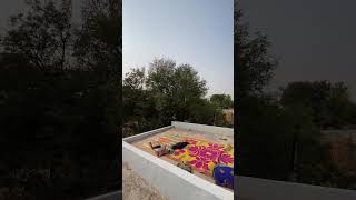 Weekend village morning #weekend #village #trending #sleep #morning
