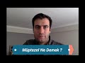 Manifesto nedir? Manifesto ne demek? İşte TDK’daki tanımı ...