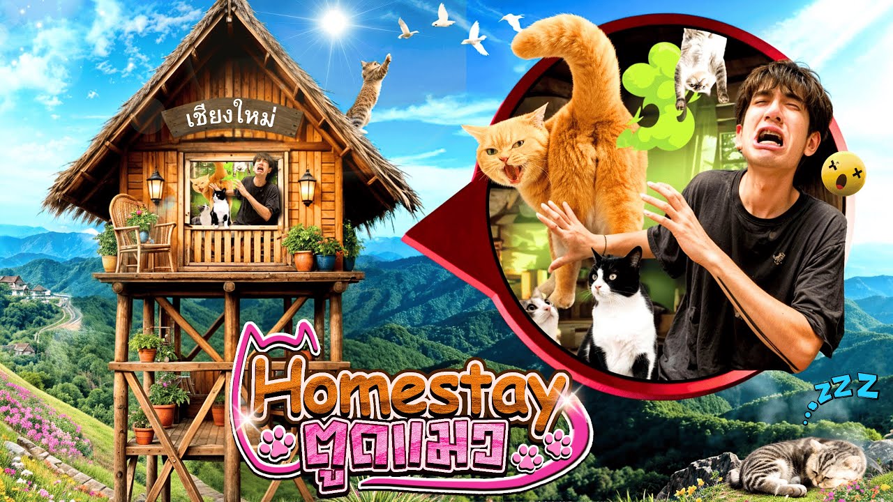 Ого!!😲🤯 Отель «Кошачья задница»😻💨 (персонал = кот🐈) | 30 дней, 30 клипов по всему Таиланду🤩🇹🇭 [Чи...