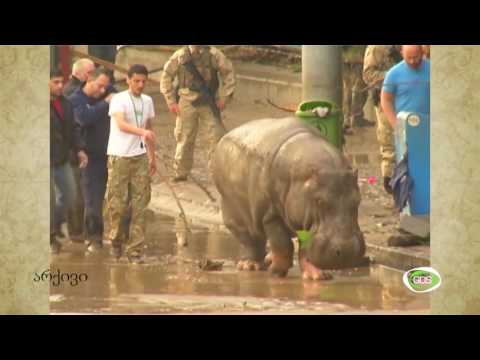 თბილისის ზოოპარკი