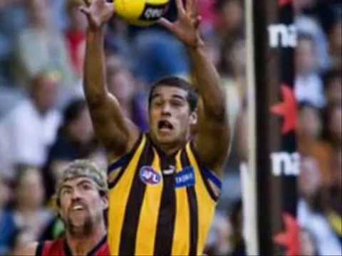 HAWTHORN HAWKS AFL TRIBUTE 2008 (Video Made March ...