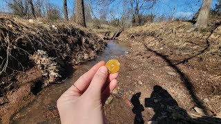 Arrowhead hunting along the Perkiomen Creek