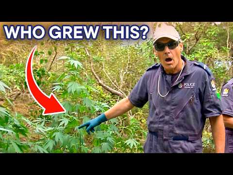Discovery of C*nnabis Plants...But Where Are The Cultivators