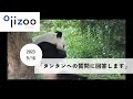 【ライブ配信/アーカイブ】「タンタンへの質問」に回答します!(2023年9月16日)