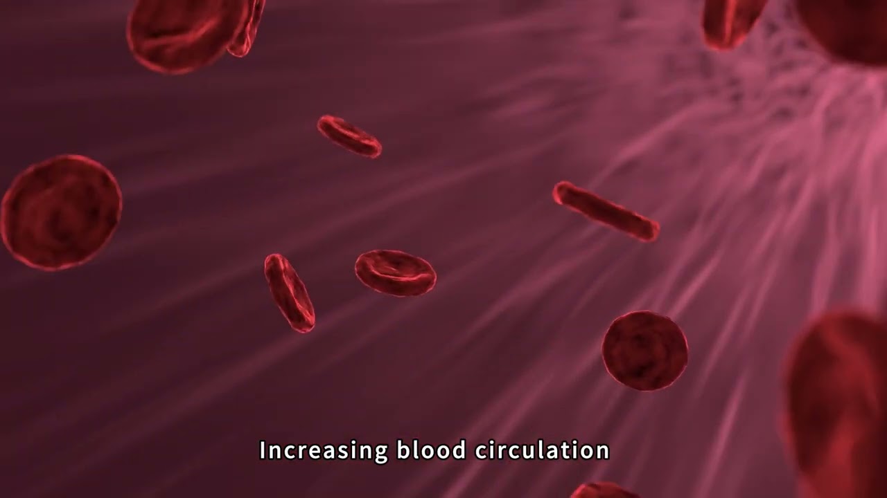 B0158 Endos Velapro Endolift Inner Ball Roll Massage Slimming Machine