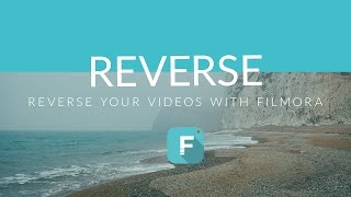 Best Reverse Video Ideas screenshot 5