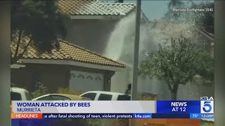 Woman attacked by bees in Murrieta, California