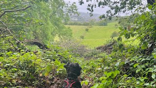 Beautiful view for a beautiful girl #beautiful #vacation #picoftheday #offroad #instagram #summer by Sterling Happy Hikes  3 views 7 days ago 4 minutes, 34 seconds