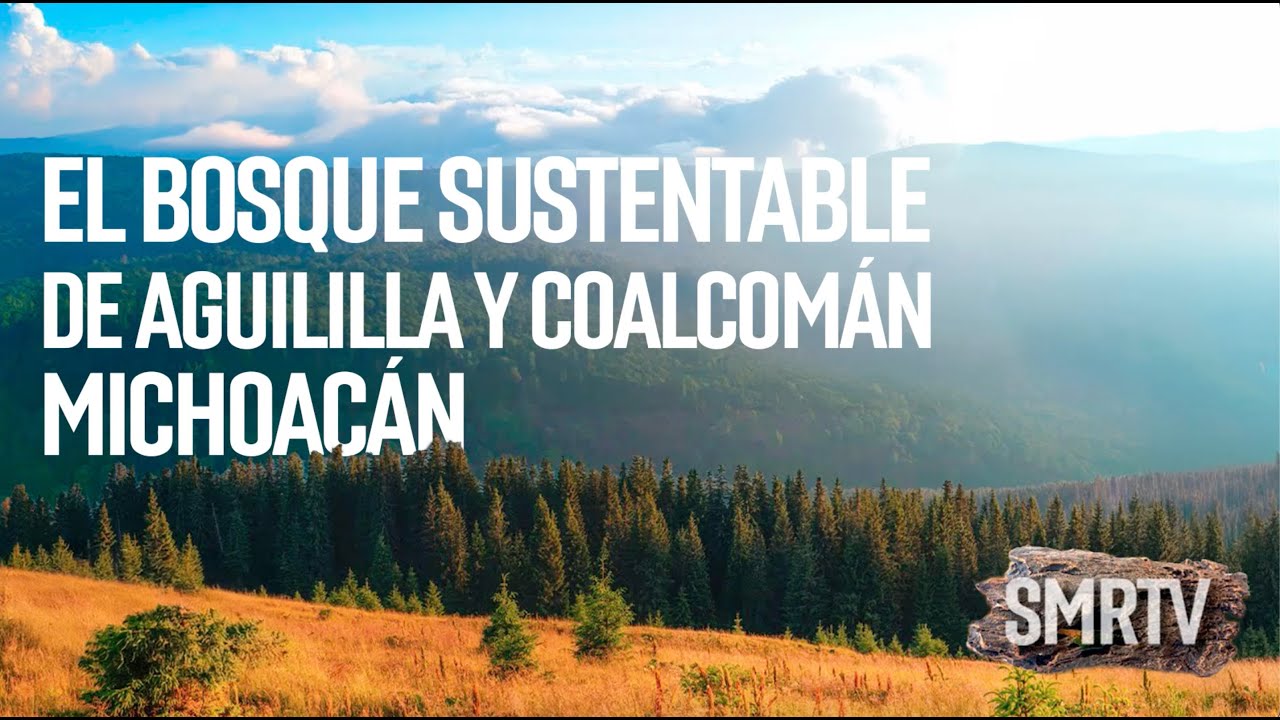 El bosque sustentable de Aguililla, Michoacán | Investigaciones Michoacán | SMRTV
