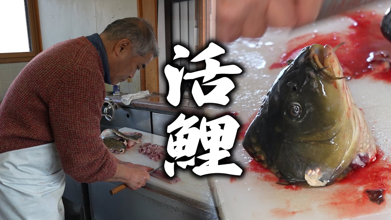 【珍食】扱う魚は全て生きてる！安曇野の生きの良い鯉の洗いを出すお店「丸山鯉屋」