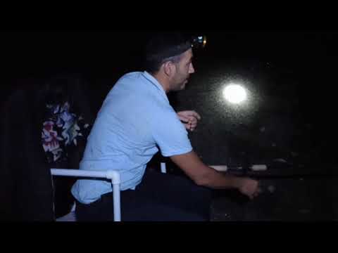 Video: İnanılmaz Balıqçı