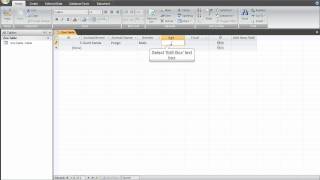 3. Entering data in Datasheet view.avi