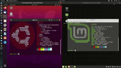 Linux Mint 19.3 vs Ubuntu 20.04 - Hardware Resource Usage Comparison