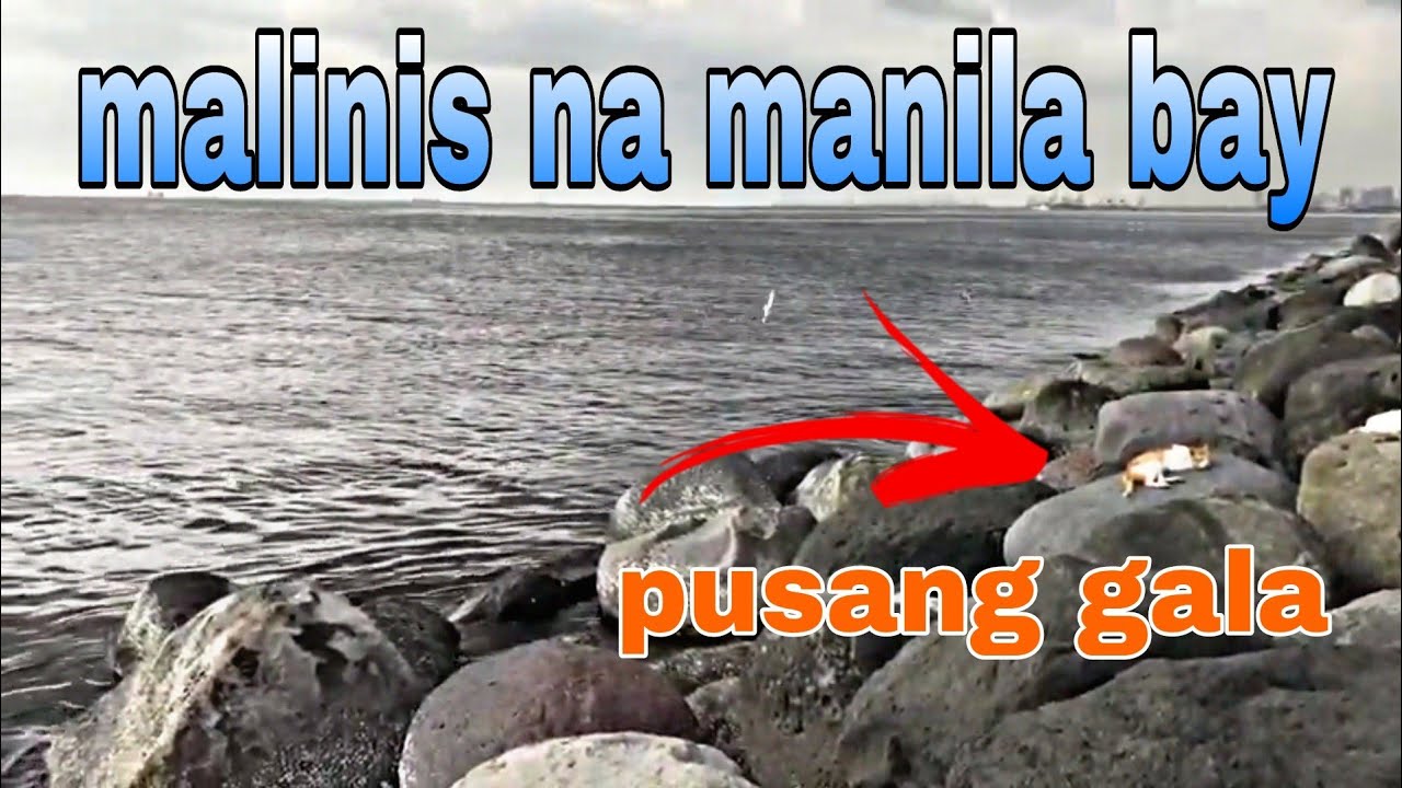 manila-bay-pinalinis-ni-presidente-duterte-youtube