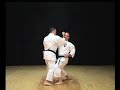 Isshin-ryu Naihanchi Kata & Bunkai by Michael Calandra 8th Dan