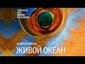 Андрей Нарчук. Открытие выставки «Живой океан» в ТК «Галерея».