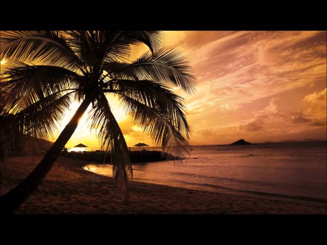 Edward Maya - This Is My Life (Adi Perez 10' Remix) class=