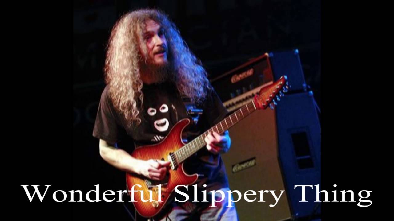 guthrie govan wonderful slippery thing backing track