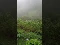٢٤ مايو ٢٠٢٥