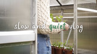 Planting Scented Sweet Peas | Making a Rhubarb Cake | Slow Living Silent Vlog