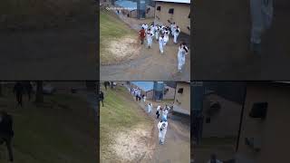 Animal-rights activists storm beagle-breeding facility, release more than 20 dogs