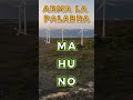 Letras en caos total 🌪️🔤