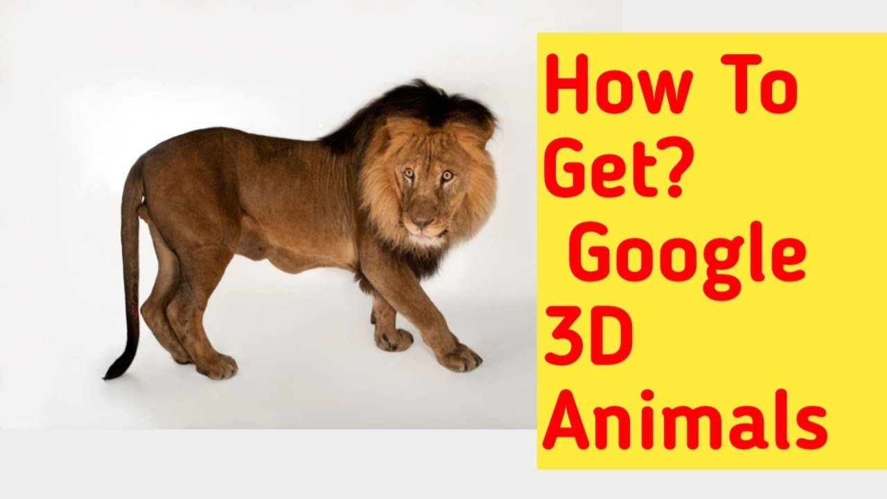 How to Use Google's View in 3D Feature to See Animals