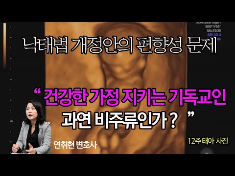 &amp;quot;건강한 가정 지키는 것이 비주류 극우주의 라구요?&amp;quot; 낙태법 개정안의 편향성 문제 - 안취현 변호사(보아즈 사회공헌재단 자문) 인터뷰