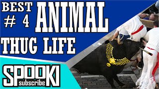 FUNNY VIDEO Best Animal thug Life #4
