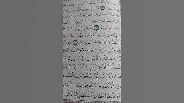 ما معنى "حموله وفرشا"#سورة #الانعام