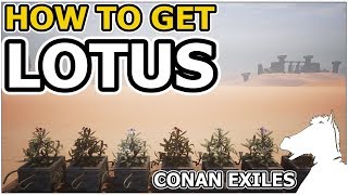 How to get LOTUS | CONAN EXILES