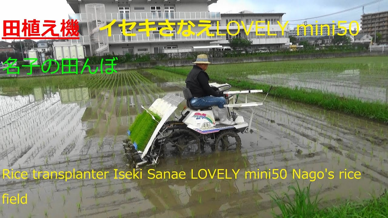 田植え機 イセキさなえLOVELY mini50 名子の田んぼRice transplanter