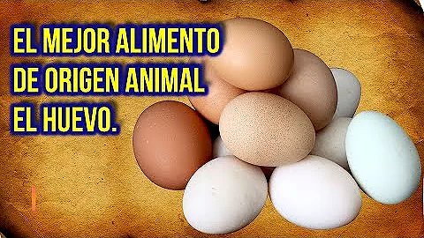 ¿Los huevos son de origen animal o vegetal?