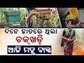 ମହୁ ବାକ୍ସରୁ ସ୍ୱାବଲମ୍ବୀ | Good News | Teacher To Successful Bee Farmer | Deogarh | Odisha | ArgusNews