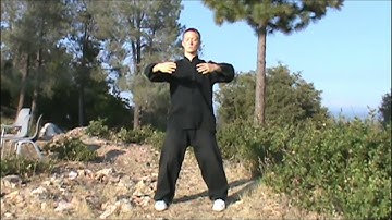 15 Min. Daily Standing Meditation (Zhan Zhuang Qigong) Follow-Along