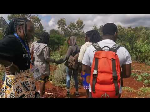 Shangilia Organic Farm