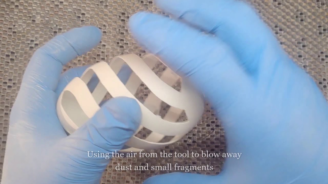 Time Lapse Carving Goose Egg