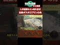【ティアキン】入手困難なぶっ壊れスクラビルド素材!白銀ボスボコブリンの角【ゼルダの伝説 ティアーズオブザキングダム】
