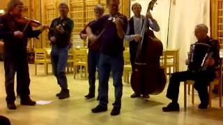 Video thumbnail of "Zweedse volksmuziek -  de Öje mars"